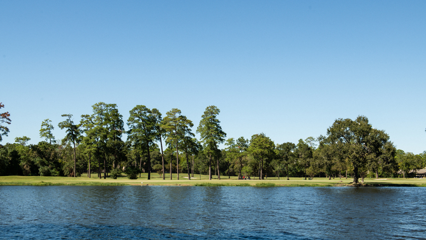 Outdoor shot of the lake in the foreground with trees and general forestry in the background